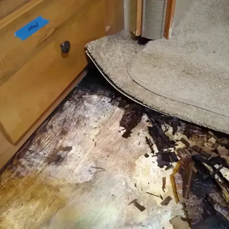 Wood Floor Water Damage in Jourdanton, TX